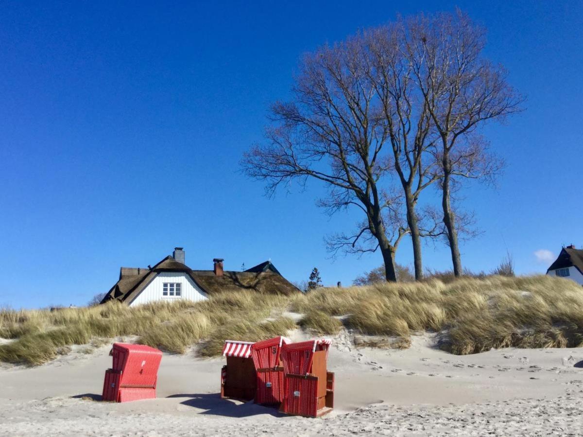 Ferienwohnung Morgensonne ボルン エクステリア 写真